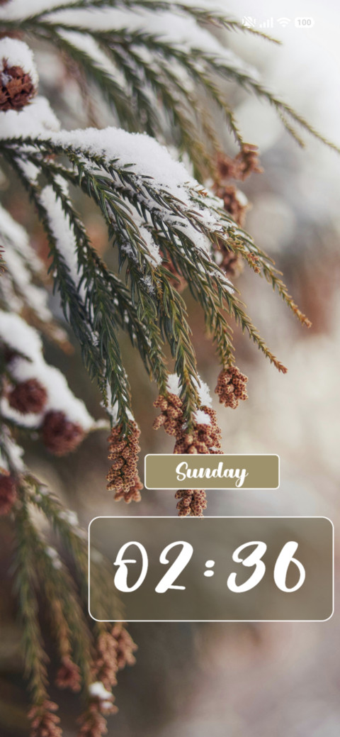 Pine tree screenshot