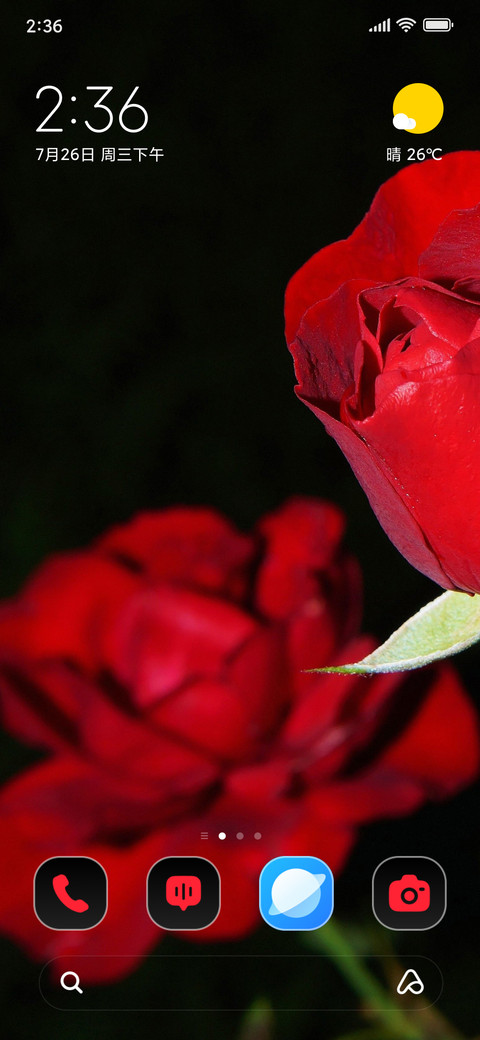 Roses screenshot