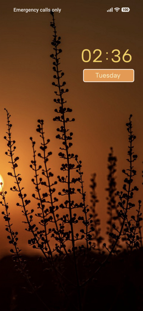Sunset screenshot