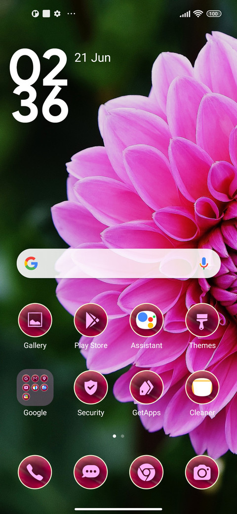 flowers dahlia screenshot