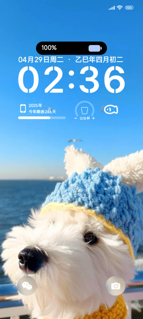 小汪的旅途 screenshot