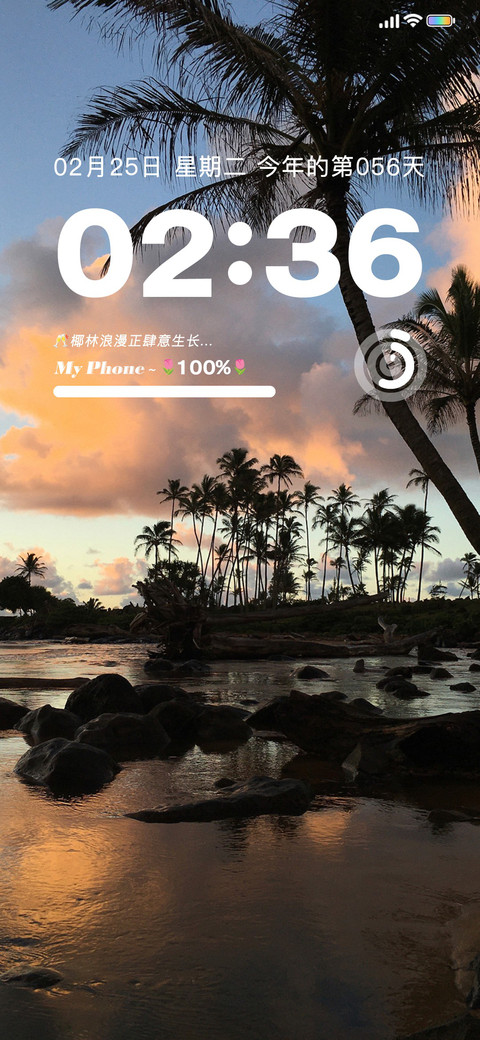 INS风景 浪漫椰林 screenshot