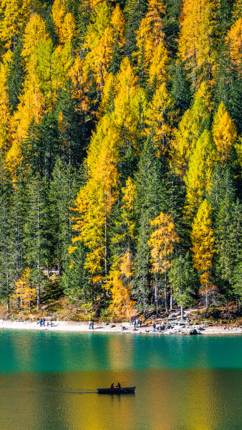 Lake in autumn screenshot