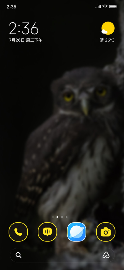 Angry Owl screenshot