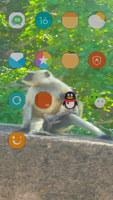 Lemur_DWM3 screenshot