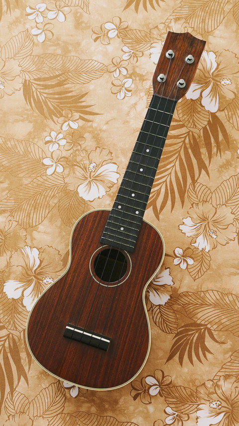 india-guitar screenshot