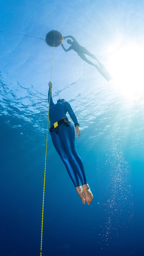Free dive-01 screenshot