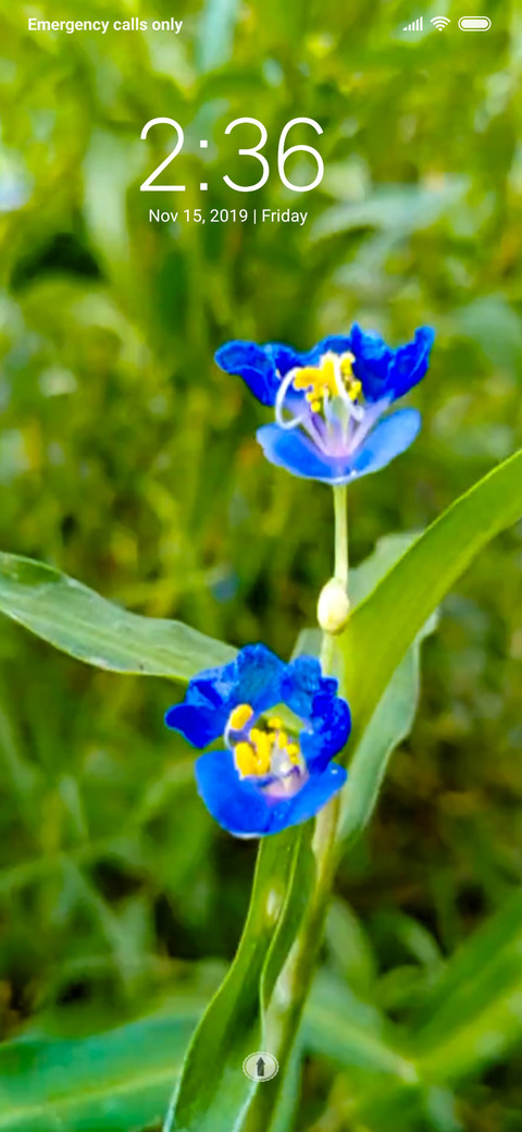Dayflower_DWM3 screenshot