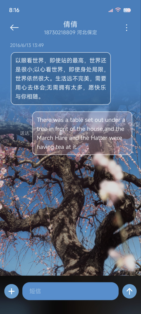 简约 等枝桠成繁花 screenshot