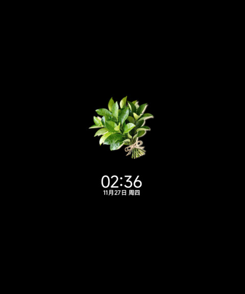 柚子叶壁纸 screenshot