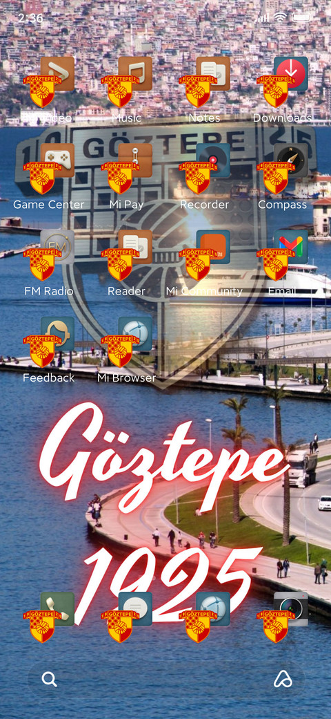 GOZTEPE SPOR screenshot