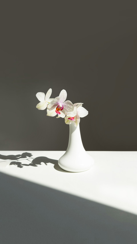 A white vase displays a white bouquet of flowers screenshot
