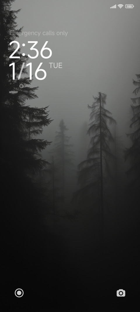 midwood screenshot