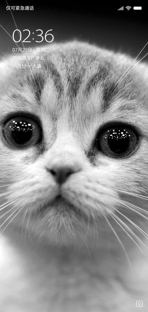 猫咪喵咪 screenshot