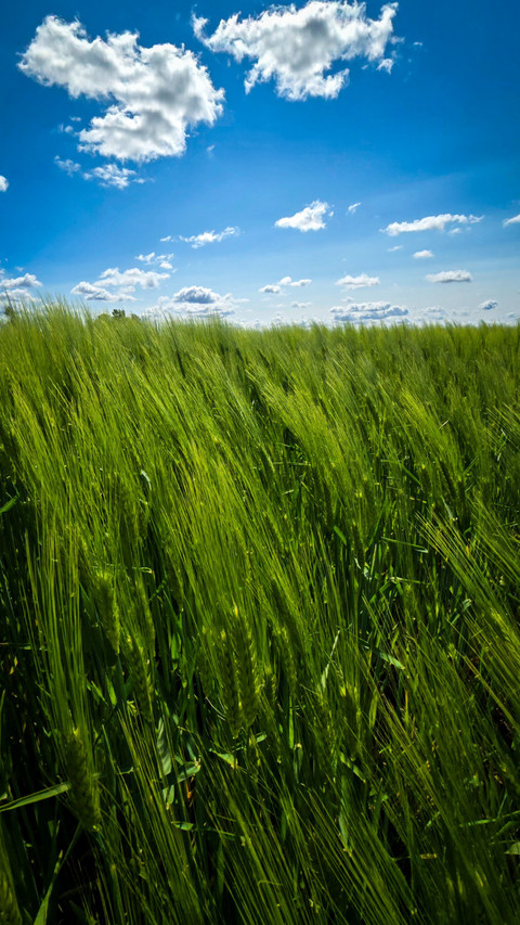 Landscape beauty of Latvia screenshot