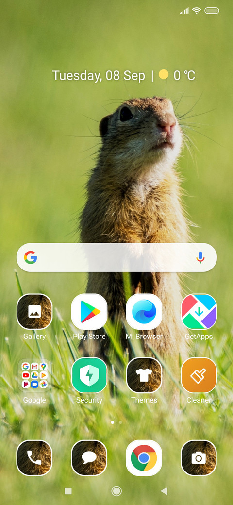 Rodents_3MDS screenshot