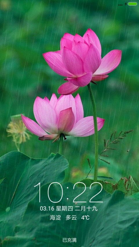 仲夏赏荷 screenshot