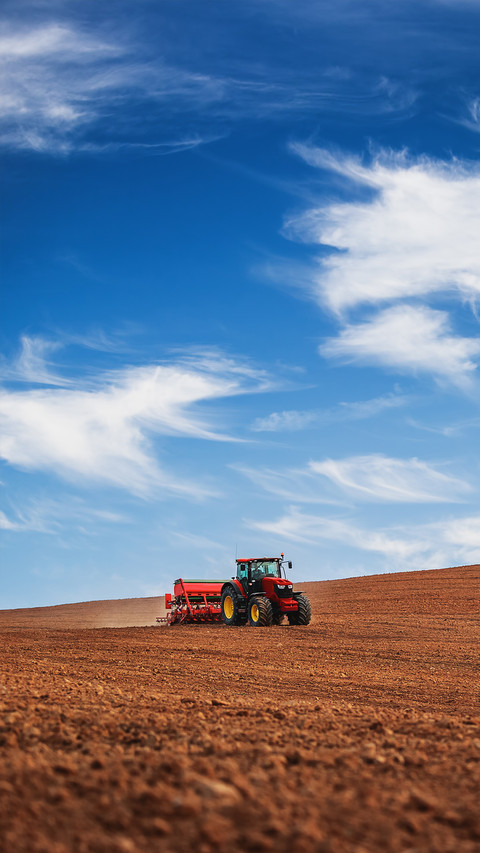Beautiful view of the farmland screenshot