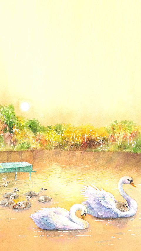 India-swans screenshot