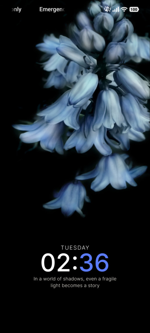 Midnight Bloom screenshot