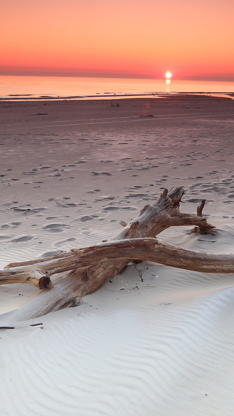 Floating wood scenery screenshot