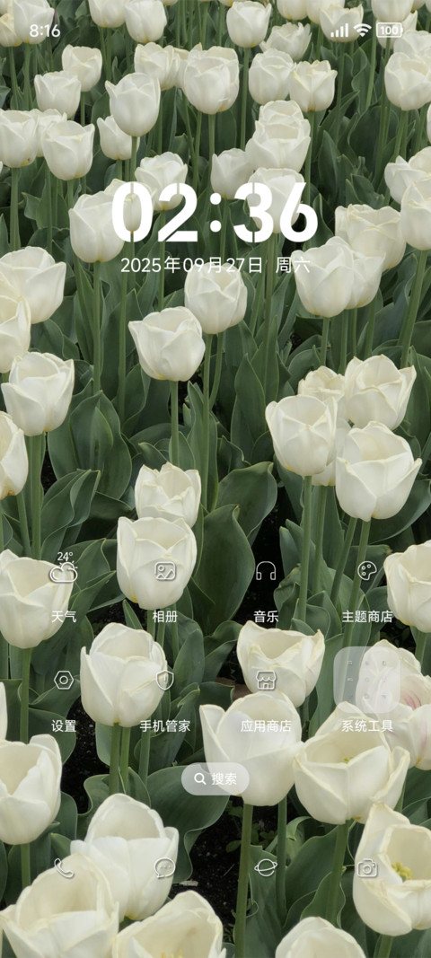 bloom screenshot