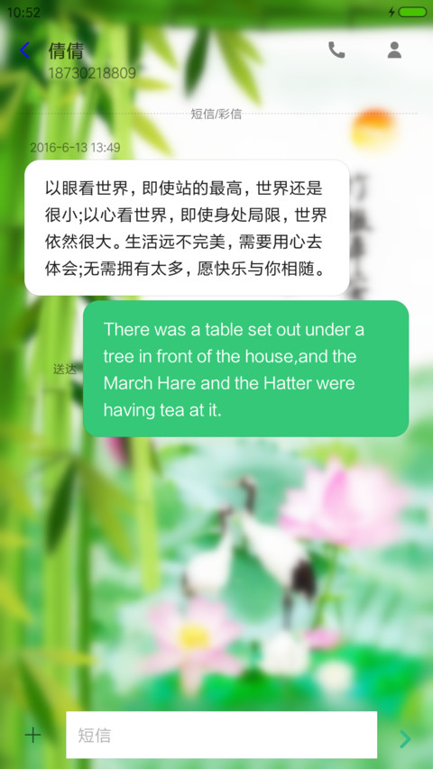 平安富贵竹 screenshot