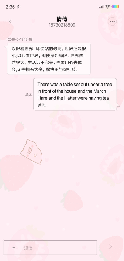 可爱 猪年好运 screenshot