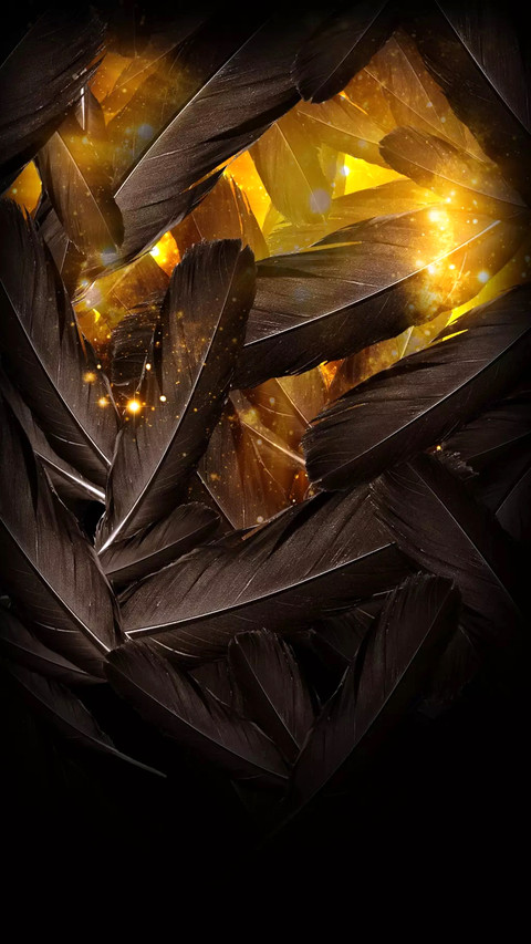落羽 screenshot