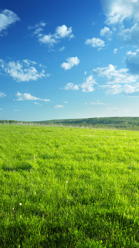 Green eye protection prairie wallpaper screenshot