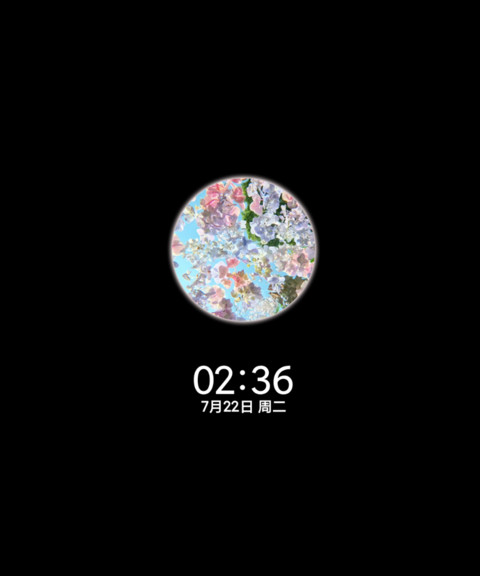 丁达尔沉溺花海 screenshot