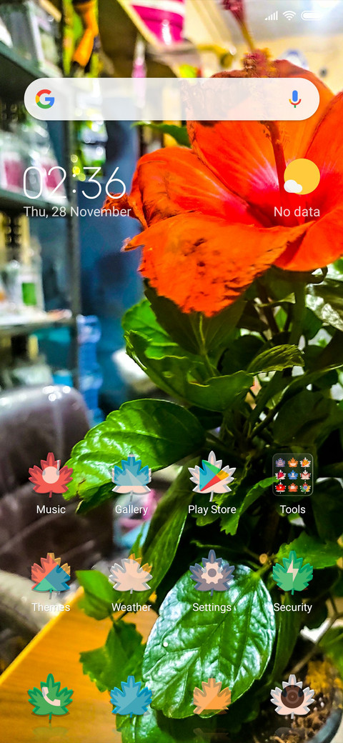 Orange Flowers_DWM3 screenshot