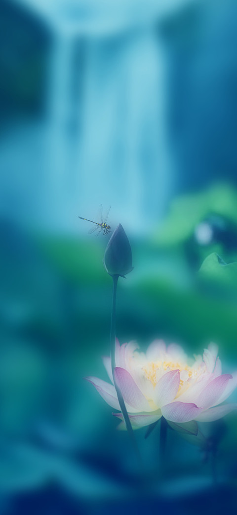 浅夏 screenshot