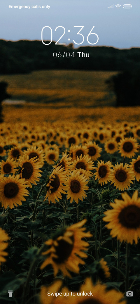 Sunflower_3MDP screenshot