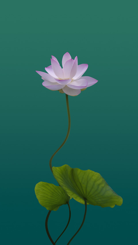 The fate of li bai and lotus 3 screenshot