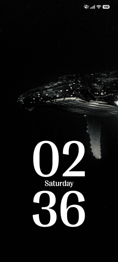 Ocean screenshot
