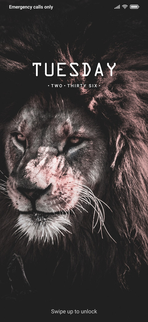 Lion Dark V10 screenshot