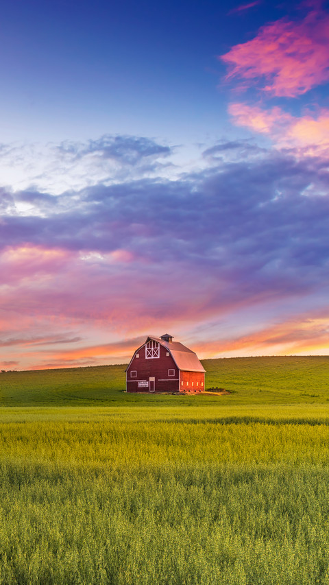 Red barn in Washington field at sunset screenshot
