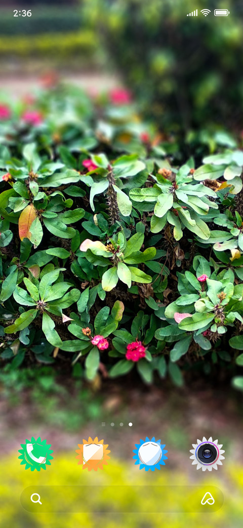 PlantsTree_DWM2 screenshot