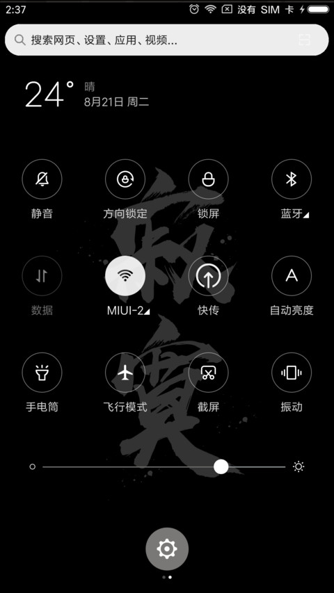 MIC We are young screenshot