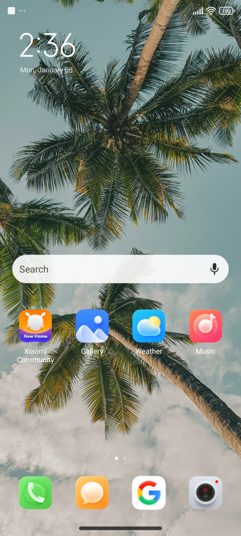 Dandelions screenshot