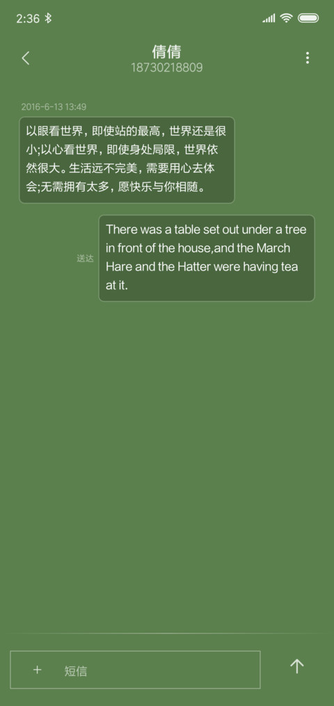 多变锁 简约绿 screenshot