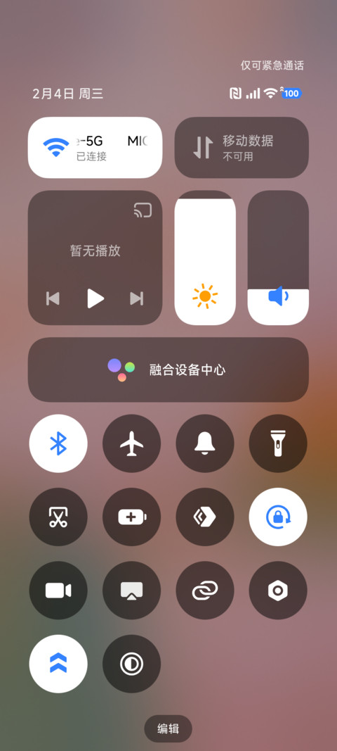 春日来信郁金香 screenshot