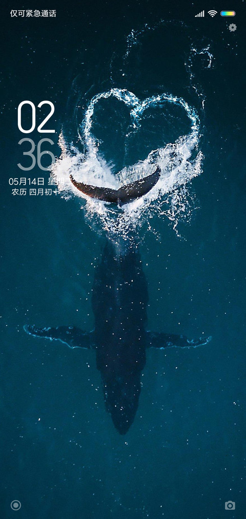 深海蓝鲸 screenshot