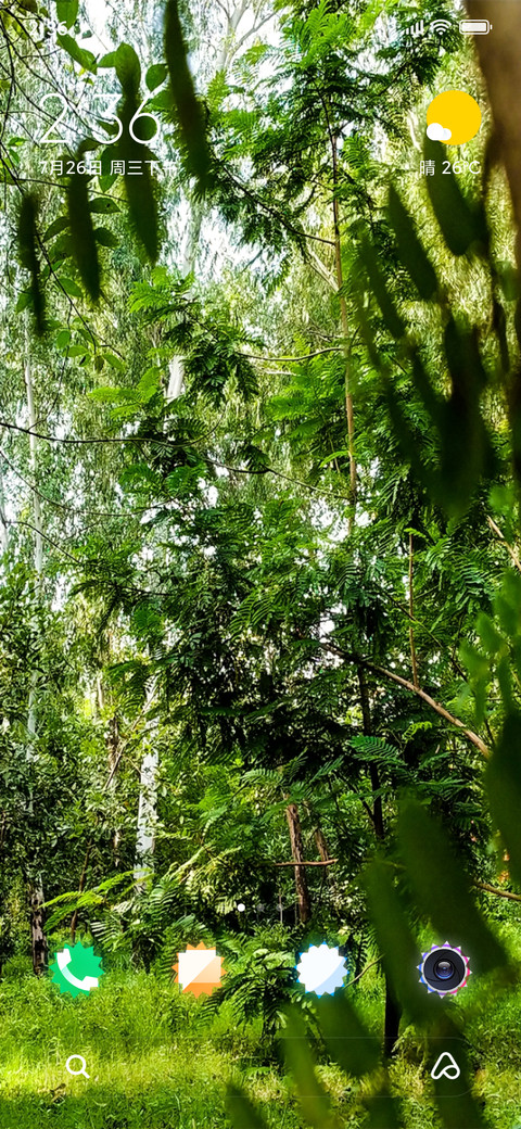 Forest Flora_DWM2 screenshot
