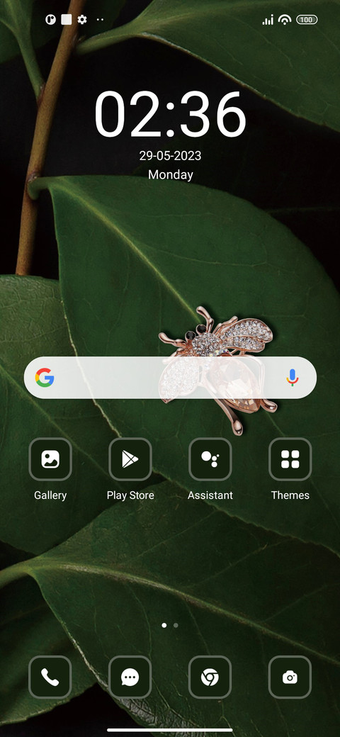 Insect screenshot