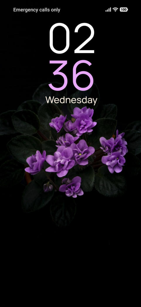 Violet Whisper screenshot