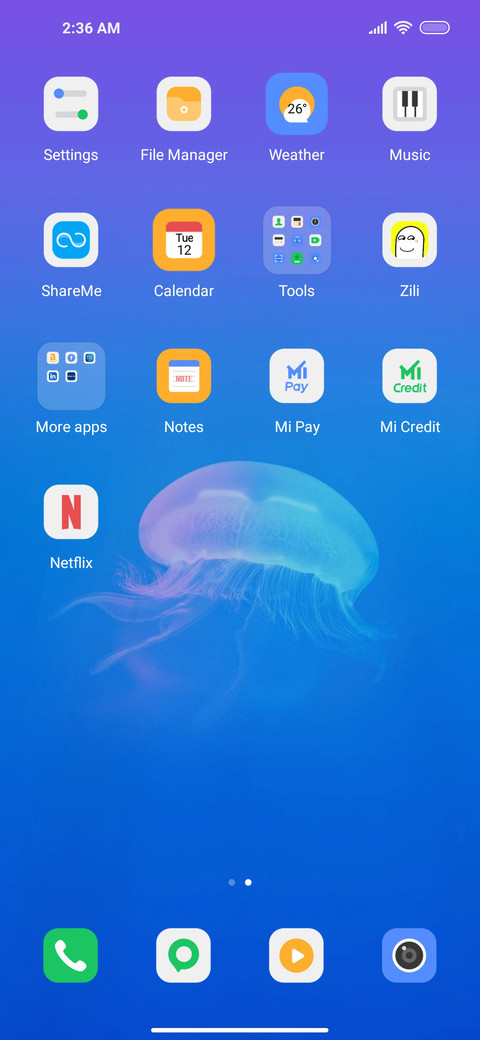 jellyfish screenshot