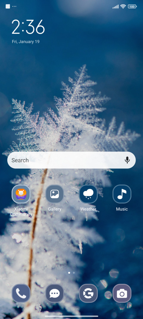Frozen Beauty screenshot