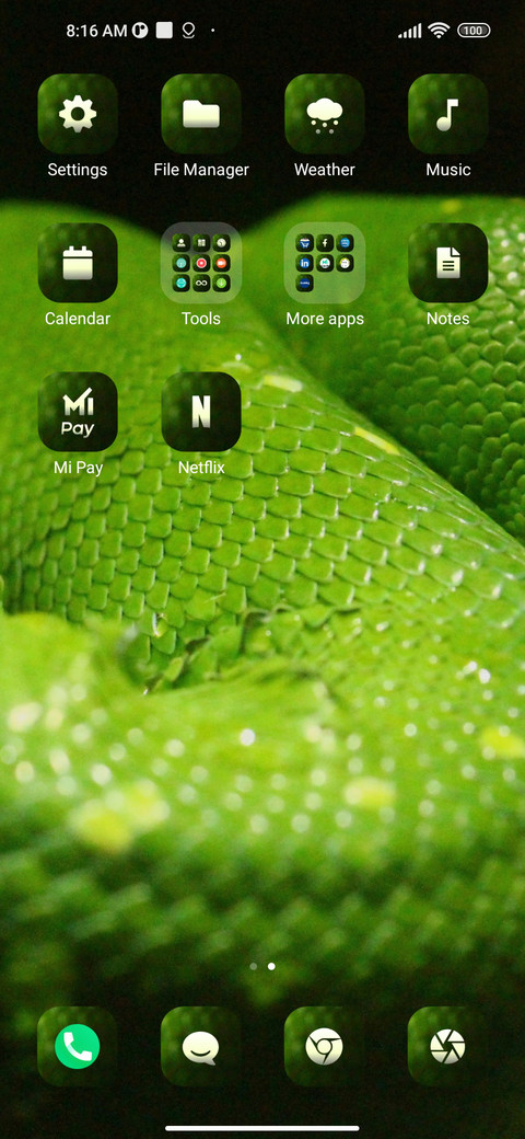 Python_snake screenshot